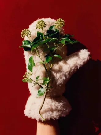 Gepolsterte Florfäustlinge Gepolsterte Florfäustlinge