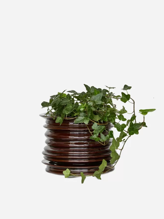 Keramik-Pflanztopf Keramik-Pflanztopf