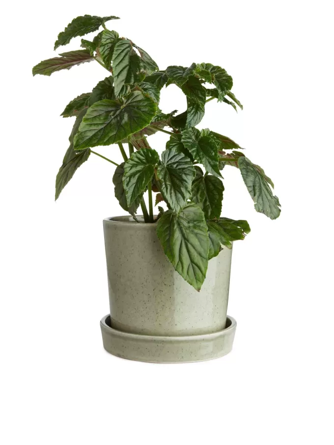 Steinzeugtopf 18 cm Steinzeugtopf 18 cm